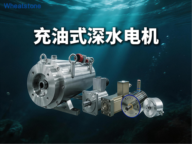 充油式深水电机：惠斯通如何以等压密封技术