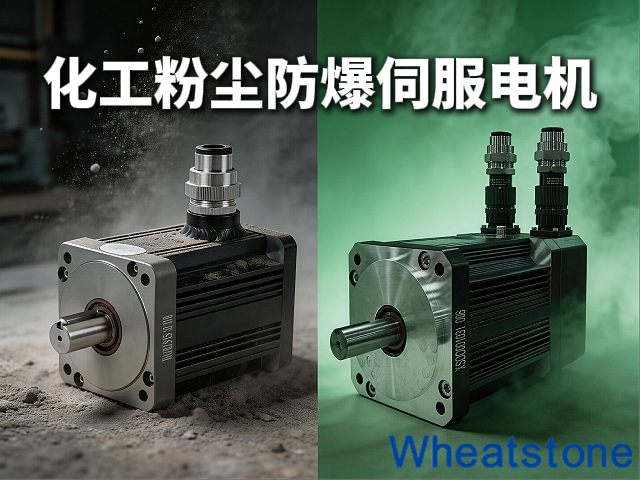 化工粉体混合环境，为什么需要防爆伺服电机
