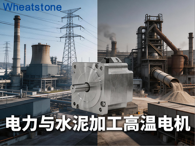 电力能源与水泥建材行业的高温电机——惠斯