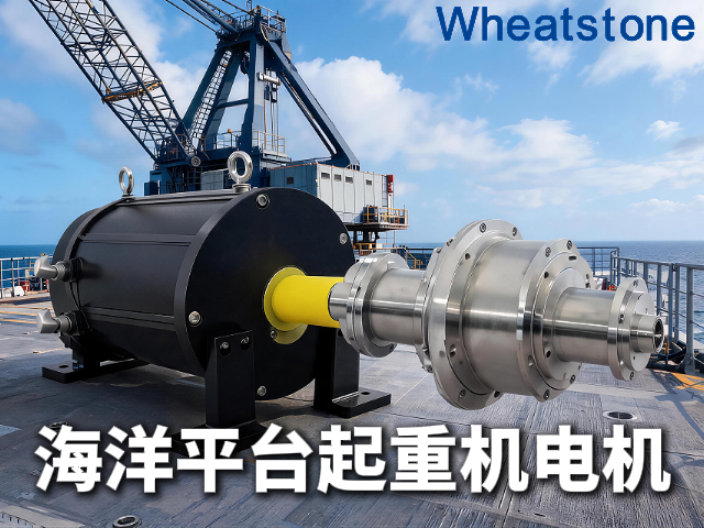 海洋平台寸土寸金，惠斯通电机为起重机“瘦