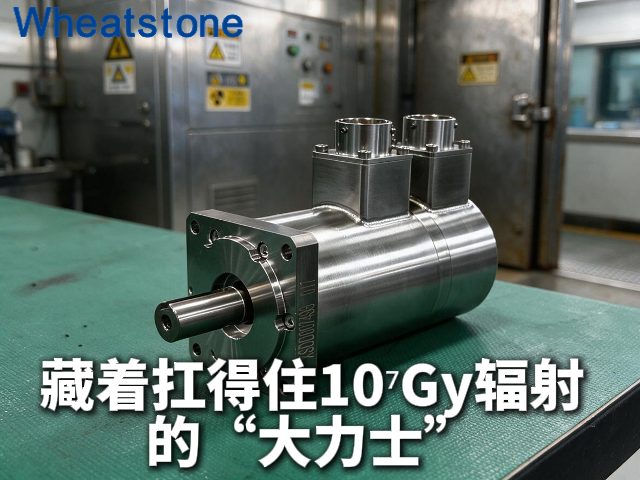 巴掌大的地方，藏着扛得住10⁷Gy辐射的